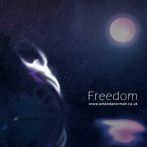 Freedom in the stars by Amanda Norman